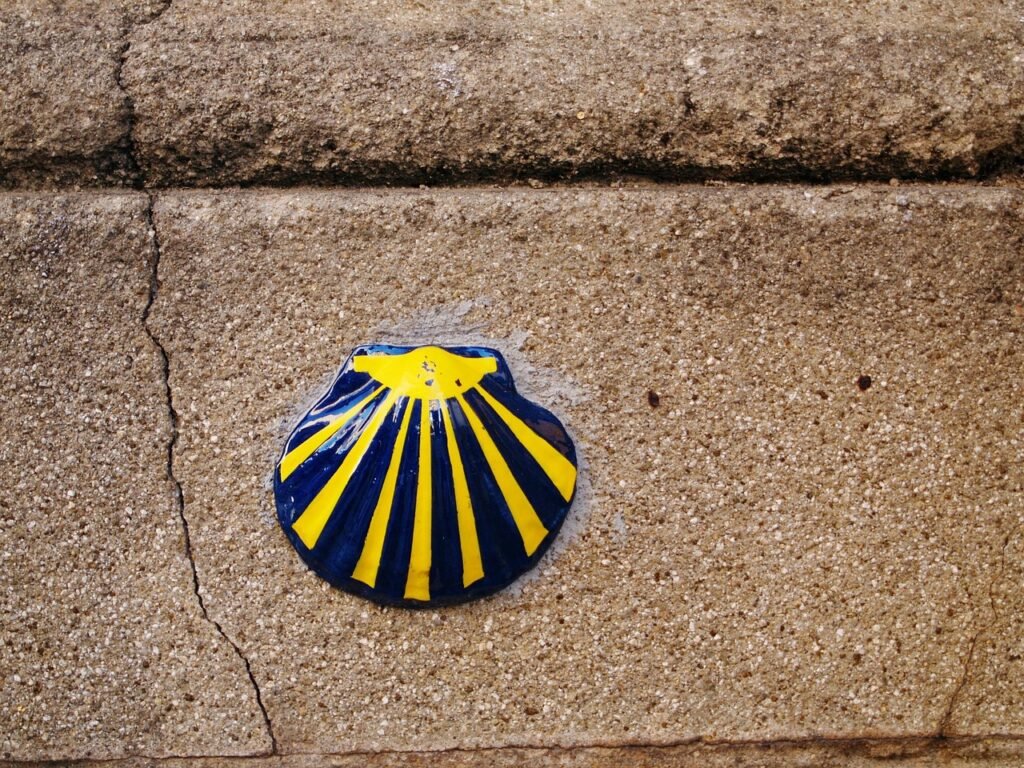 symbol, shell, spain, europe, seashells, religion, european, faith, santiago, travel, galicia, catholic, spanish, destination, trekking, compostela, camino, walk, barcelona, brown walking, santiago, santiago, santiago, santiago, galicia, galicia, galicia, galicia, galicia, compostela, camino