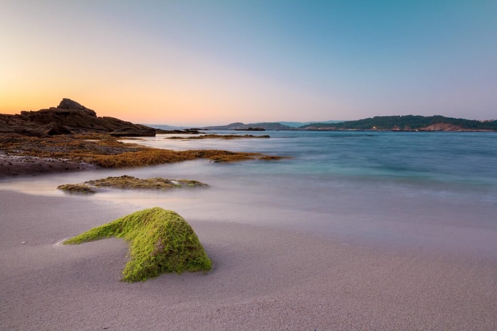 beach, galicia, ria, aldán, algae, rocks, sea, sunset, sand, calm down, paradise, meditation, summer, ethereal, darling, costa, the water, nature, stone, seafood, peaceful, blue hour, mussels, reflection, mindfulness, rías baixas